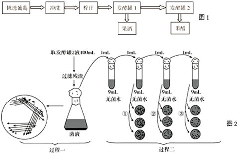 发酵过程测量乙酸（检测发酵过程是否产生酒精）-图3