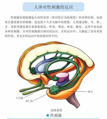 详细性过程描述（阐述详细）-图2