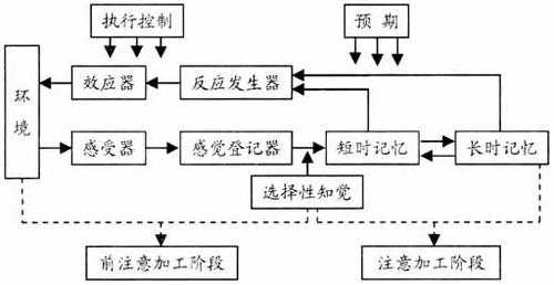 简述信息加工过程（简述信息加工过程的特点）-图2