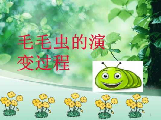 小毛虫蜕变的过程（小毛虫蜕变过程怎么写）-图1