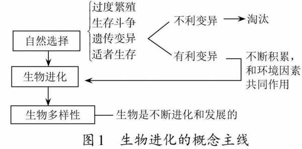 适应和演变过程（简述适应的含义及其进化形式）-图1