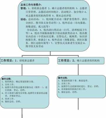 志愿工作过程（志愿者工作流程和内容）-图3