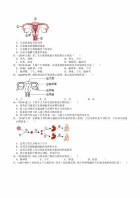 人的生殖过程题库（人的生殖的知识点）-图3