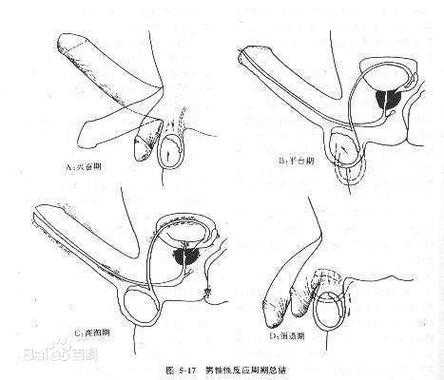 挺入女友体内过程（挺入女友体内过程视频）-图2