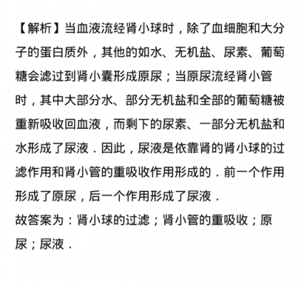 说明原尿形成过程（简述原尿的形成过程及影响原尿生成的因素?）-图1