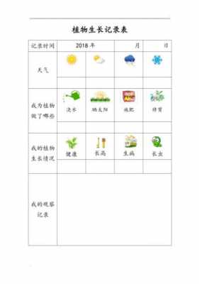 植物观察过程记录（植物观察过程记录表格）-图2