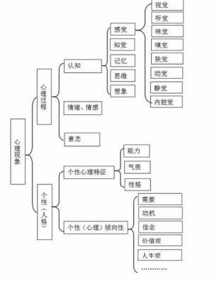 认识过程包括的心理（认识过程包括的心理现象有）-图2