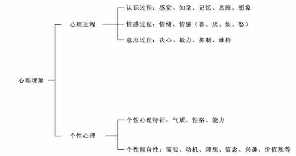 认识过程包括的心理（认识过程包括的心理现象有）-图3