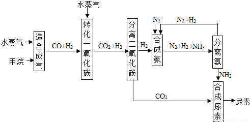 尿素合成过程图解（尿素的合成）-图1