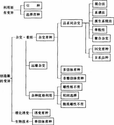 良种育种过程（良种繁育的主要任务是什么）-图1