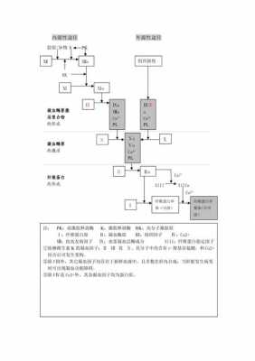 凝血过程图示（凝血过程速记）-图2