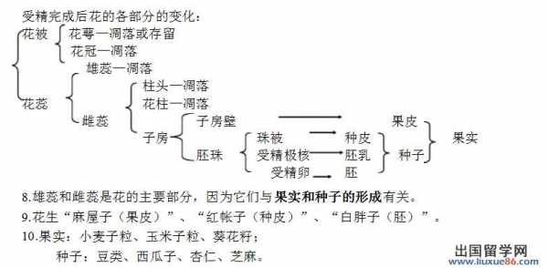 开花和结果的过程（开花和结果的过程与方法）-图2