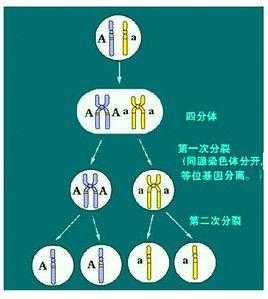 分离过程模拟实质（模拟分离定律）-图3