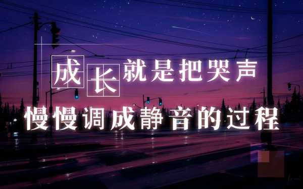 成长的过程静音（成长的过程有）-图2