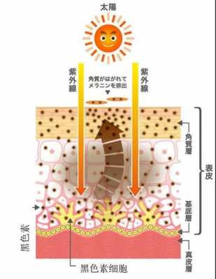 皮肤肿胀过程原理（皮肤肿胀物有哪些?）-图3