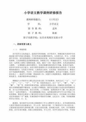 理科研修过程记录（课例研修报告怎么写）-图3