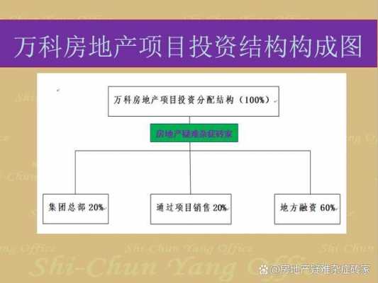 万科的融资过程（万科的主要融资渠道）-图3