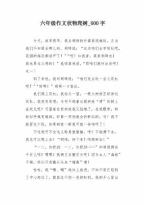 关于爬树的过程作文（关于爬树的过程作文300字）-图2