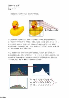 图像压缩过程主要由（图像压缩过程主要由什么构成）-图1