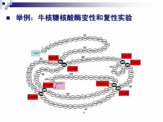 变性复性的过程（变性复性实验得出的结论）-图1