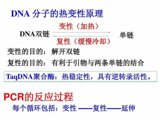 变性复性的过程（变性复性实验得出的结论）-图2