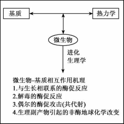 生物降解油脂过程（油脂降解微生物的筛选及代谢能力影响因素研究）-图3