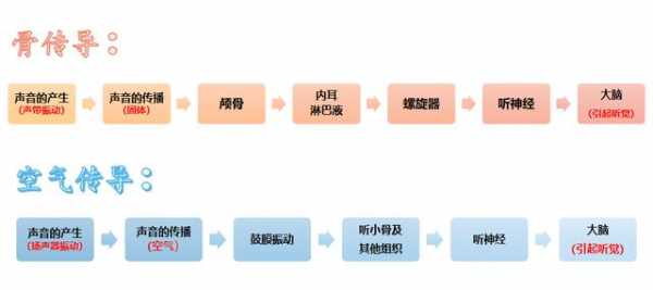 声音形成的过程（声音形成的途径）-图2