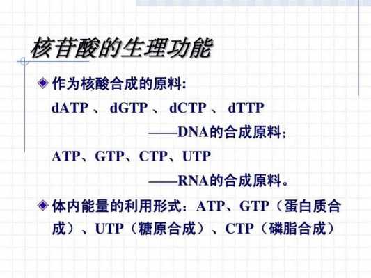 datp合成过程（datp的组成成分）-图2