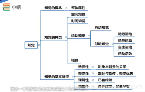 学生心理认知过程（学生心理认知过程包括哪些）-图2