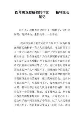 什么是观察过程作文（何为观察,观察的过程可分为哪些步骤）-图3