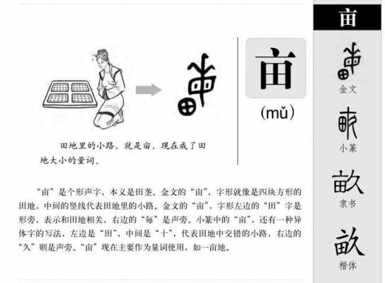 亩字演变过程（亩字的笔画顺序）-图3