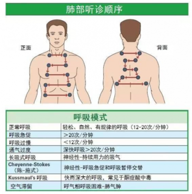 听诊过程（听诊过程中如何避免杂音的产生）-图1