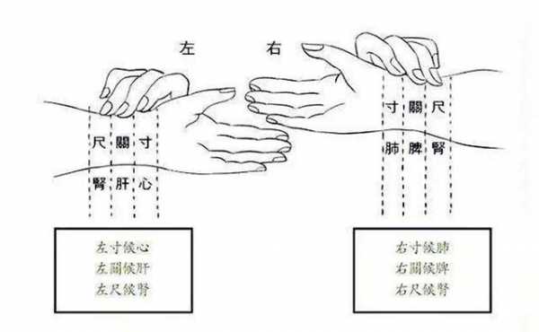 把脉具体的过程（把脉的要领）-图1