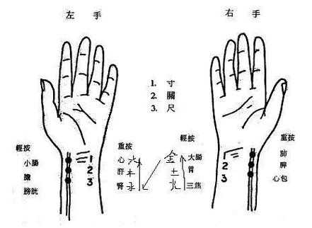 把脉具体的过程（把脉的要领）-图2