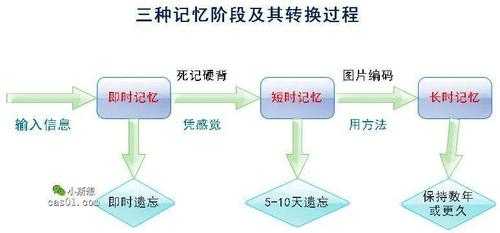 记忆的过程及种类（记忆的过程有哪些基本环节）-图3