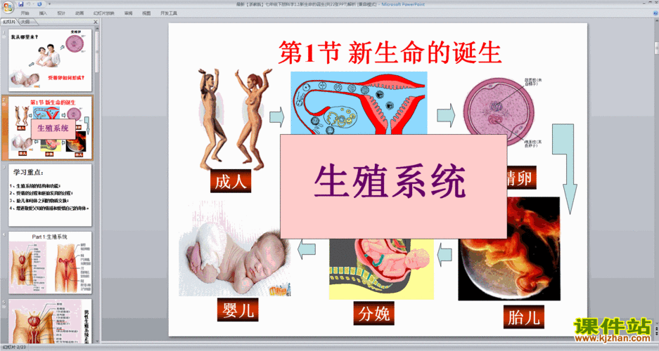 生命诞生的过程图画（生命的诞生过程 科普）-图3