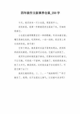 养仓鼠过程的作文（养仓鼠 作文）-图2