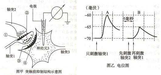 条件抑制过程有那些（条件抑制在运动实践中的意义）-图2