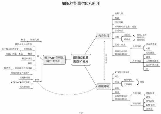 细胞能量循环过程（细胞能量供应过程）-图1