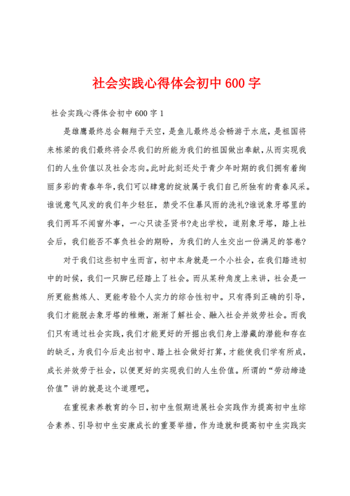 实践过程总结（实践过程总结600字）-图3