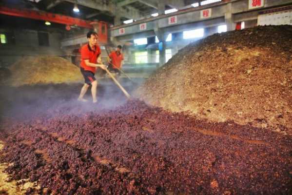 熟料液态法发酵过程（熟料液态酿酒口感好吗）-图3