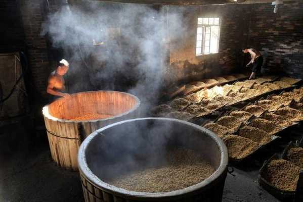 熟料液态法发酵过程（熟料液态酿酒口感好吗）-图2