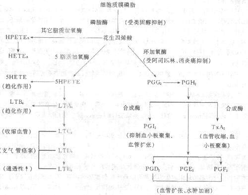 术后炎症过程（术后炎症过程图解）-图1