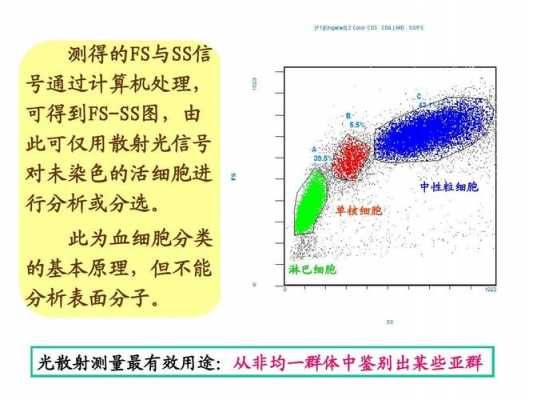 弱中性流过程（中性流弱作用）-图3