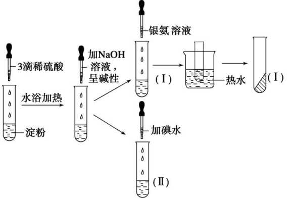 淀粉水解过程公式（淀粉水解的原理）-图2