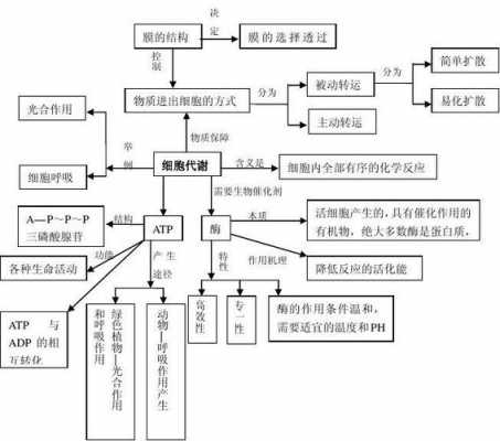 如图是细胞代谢过程（细胞的代谢活动）-图1