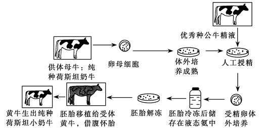 细菌的性生殖过程（细菌的生殖方式是啥）-图1