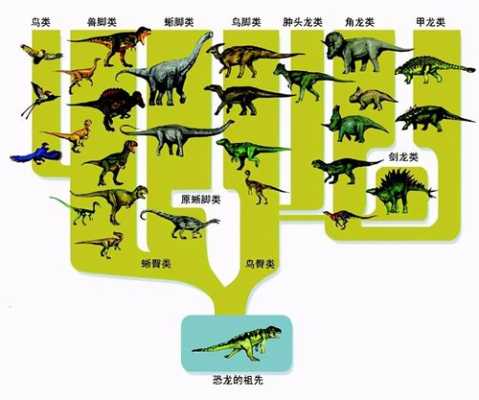 恐龙演变过程（恐龙演变过程简介）-图1