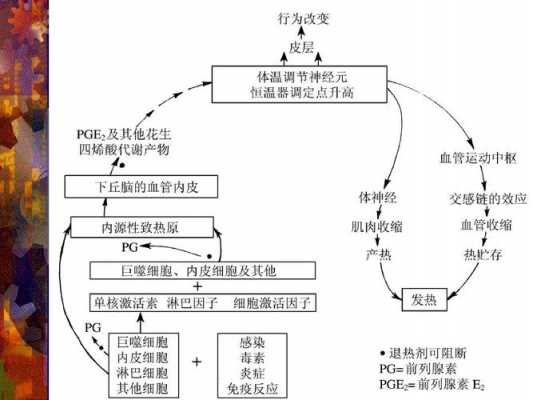 发热的过程包括()（发热的过程包括多选题）-图1