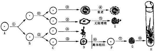 1过程位分裂，2过程（什么是过程分析）-图3